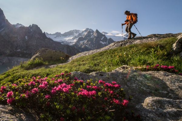 Wandern